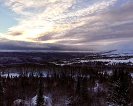 Bräcke 1:126, Buustamon