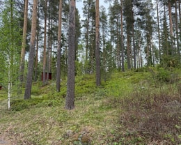 Falkträsket 47