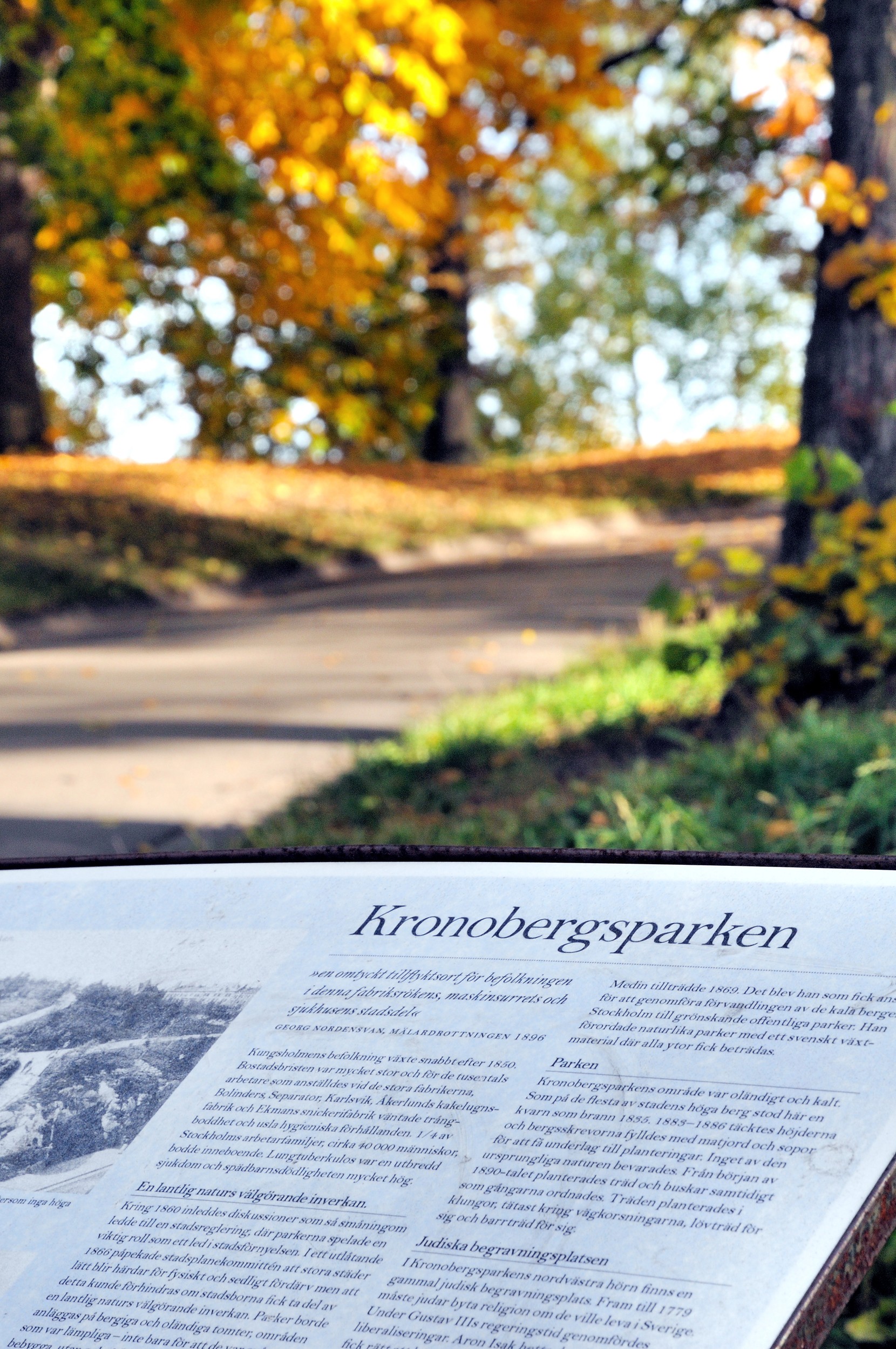 Bild 3 från Bjurfors