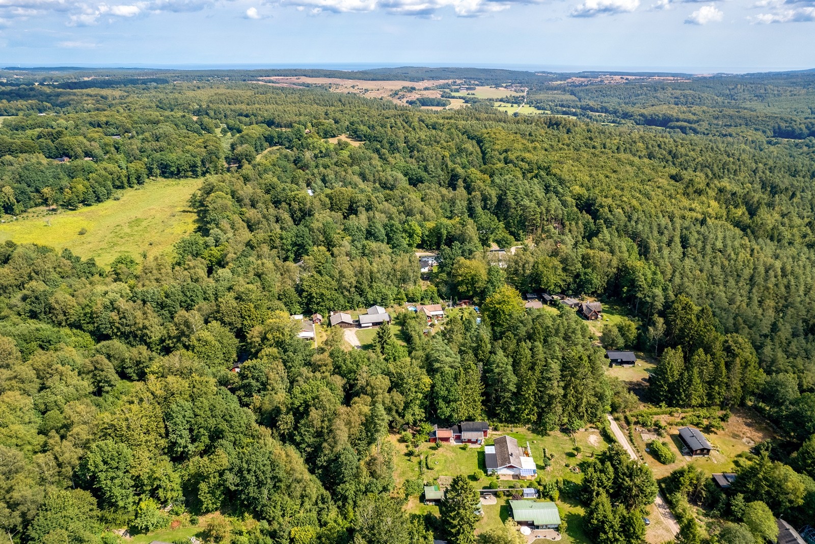Bild 3 från Bjurfors