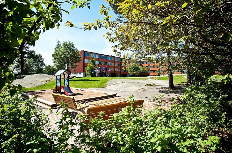 Bild 3 från Bjurfors