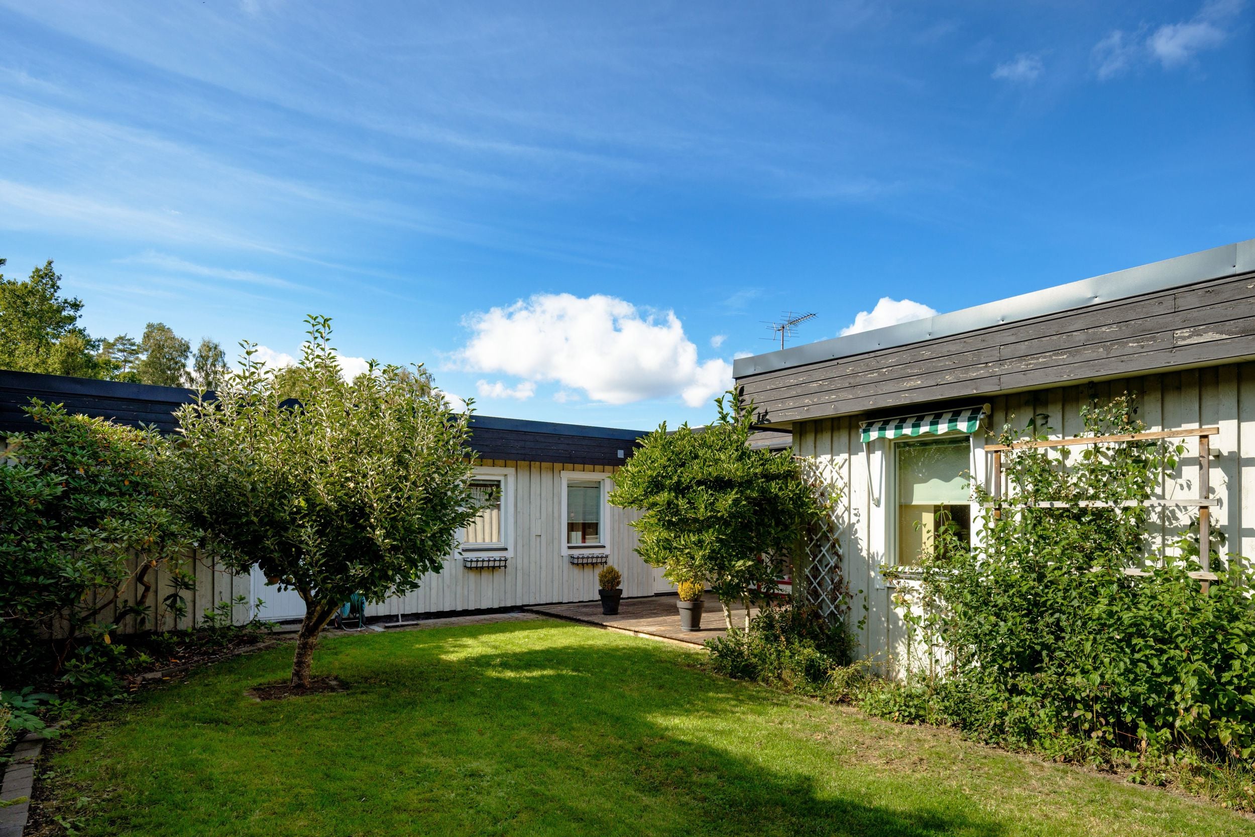 Bild 3 från Bjurfors