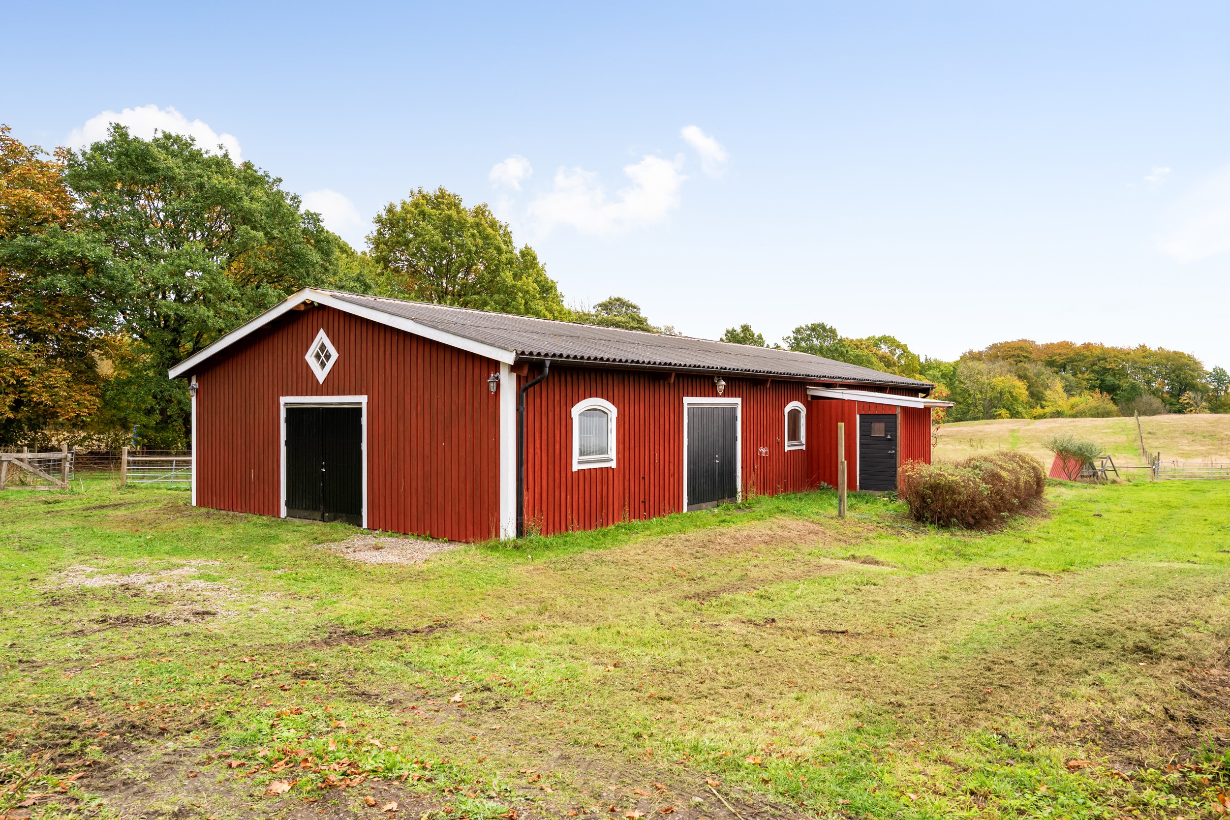 Bild 3 från Bjurfors