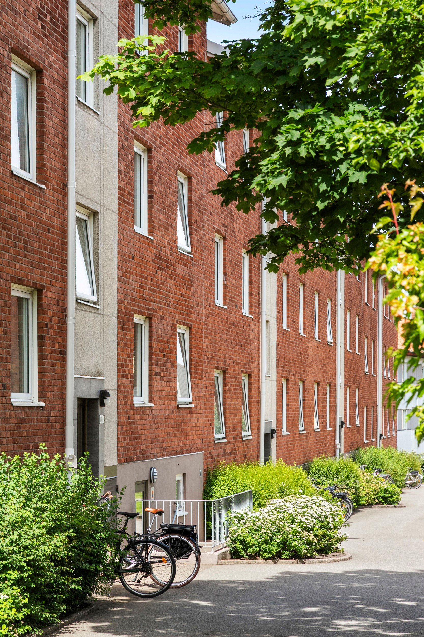 Bild 3 från Bjurfors