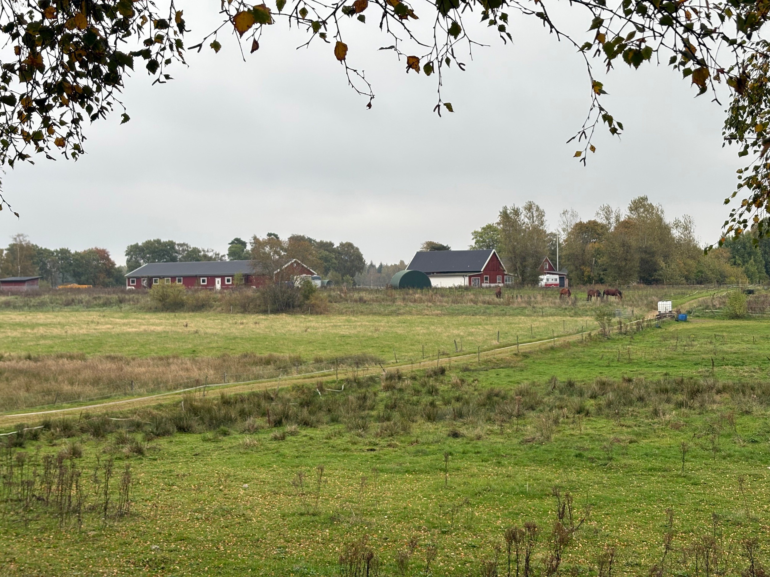 <p>Areal 11.3 hektar betesmark, hagar och tomtmark</p>