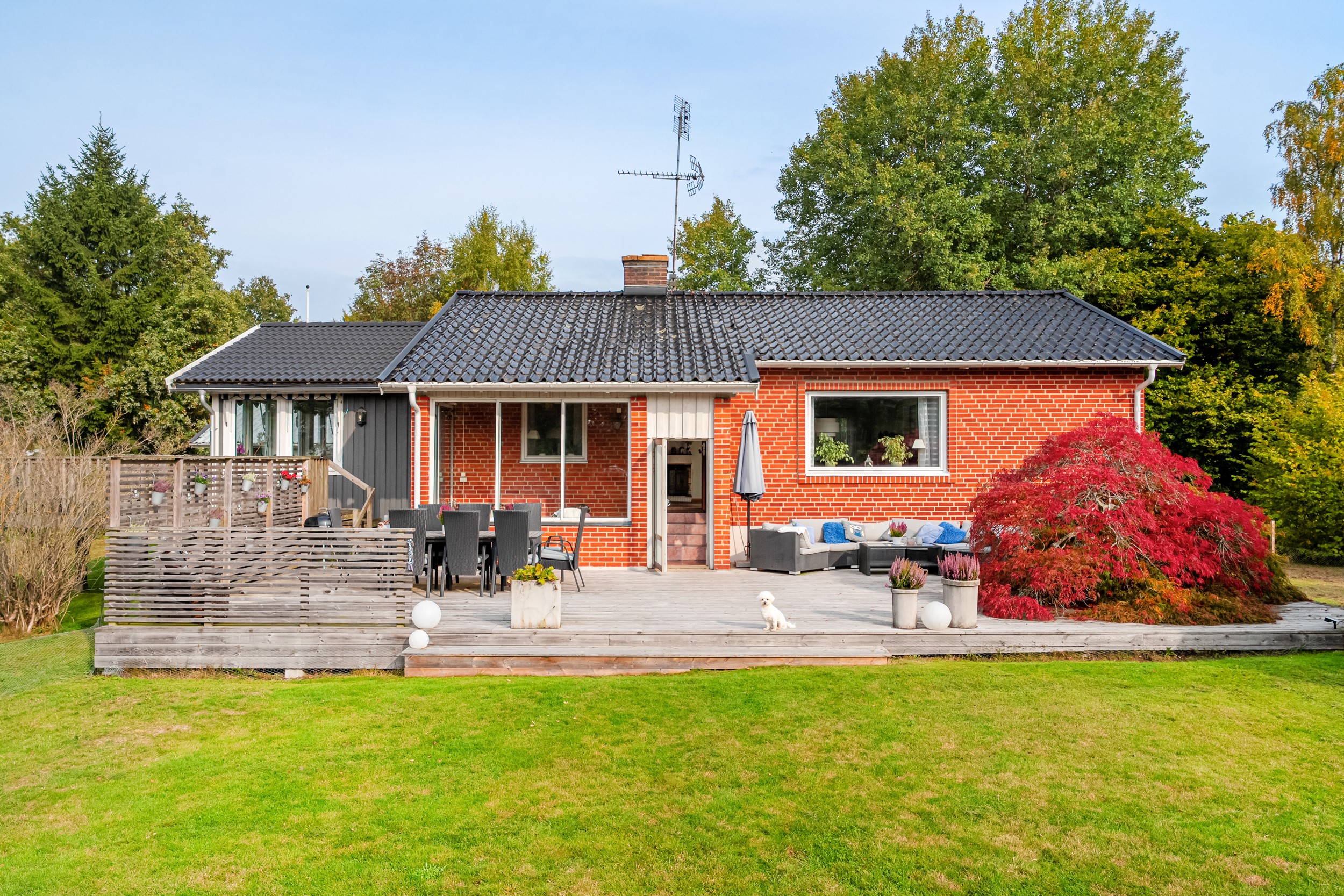 Bild 2 från Bjurfors