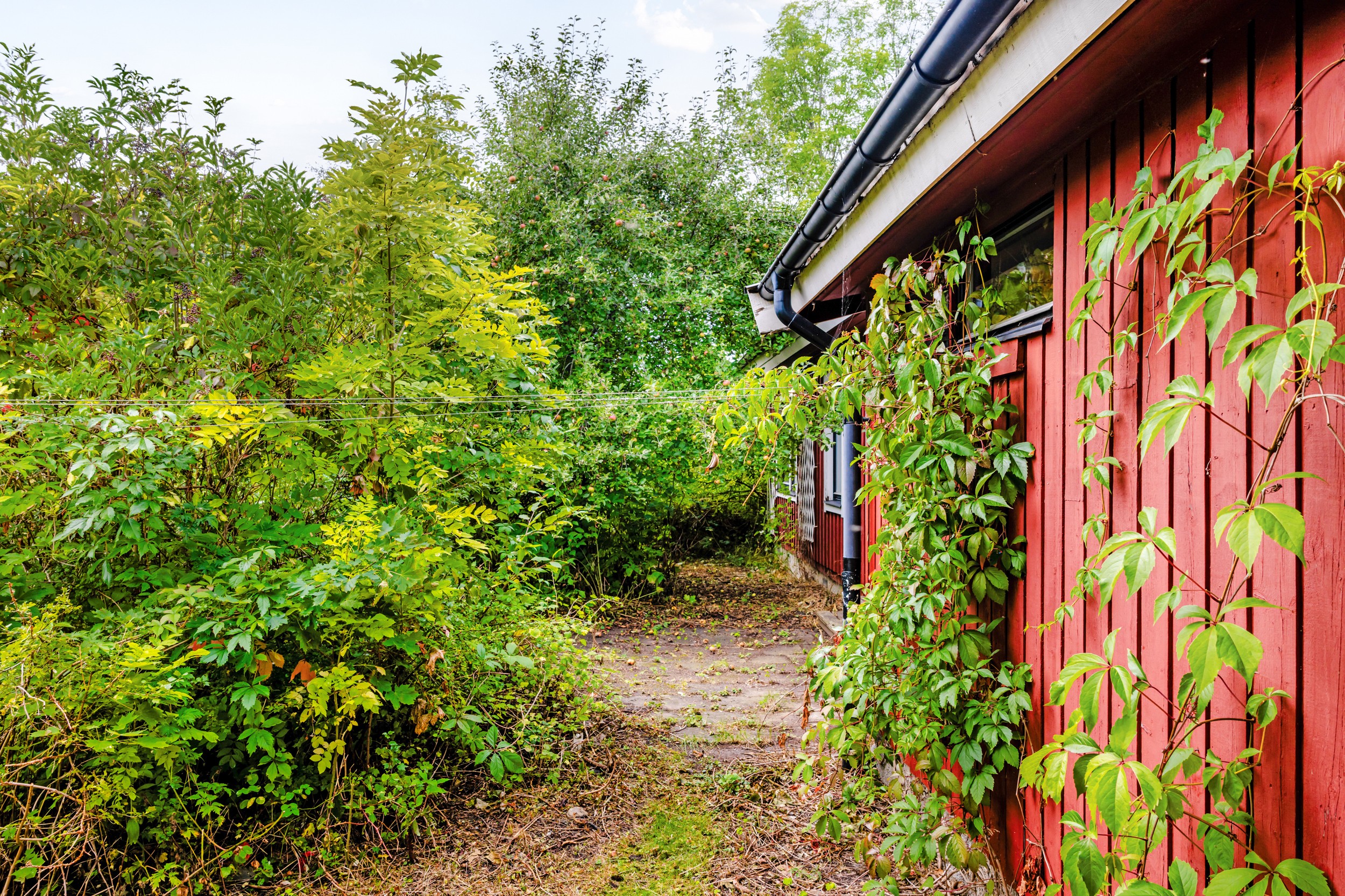 Bild 3 från Bjurfors
