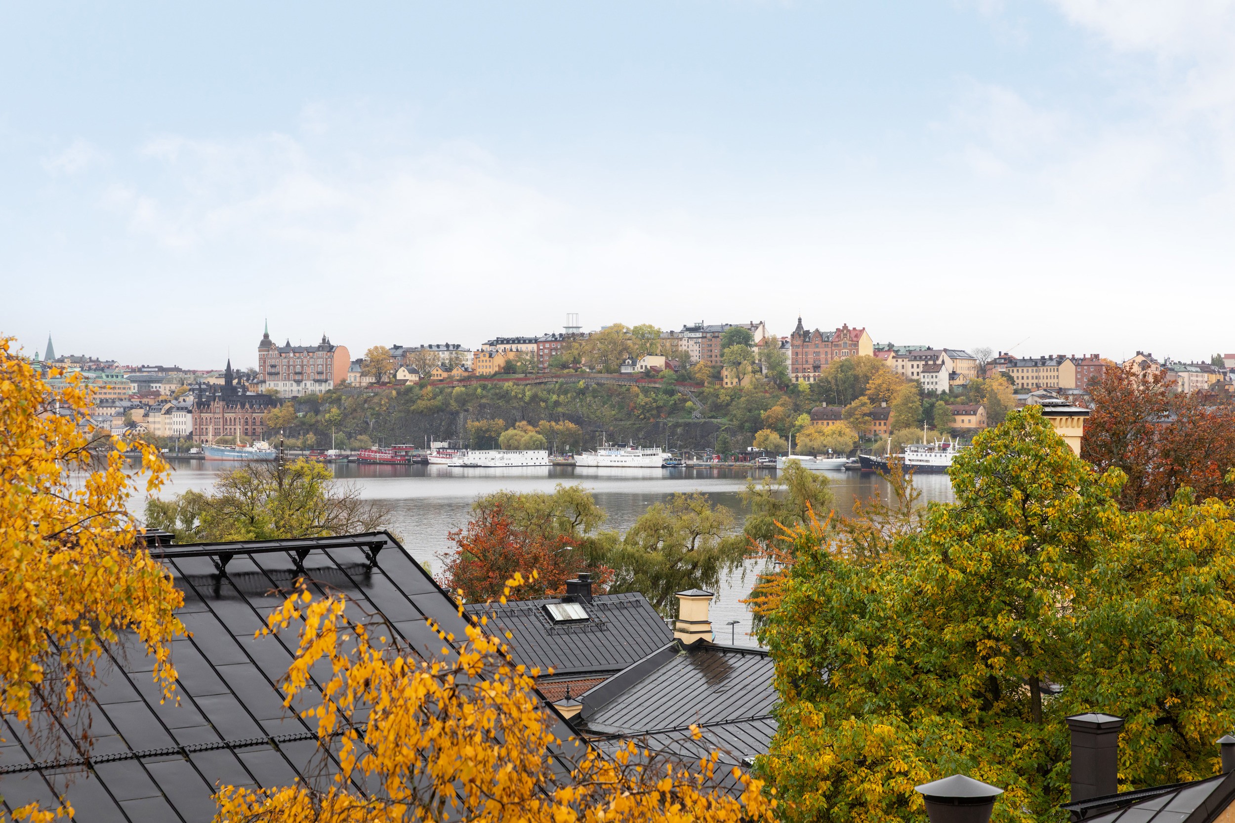 Bild 3 från Bjurfors