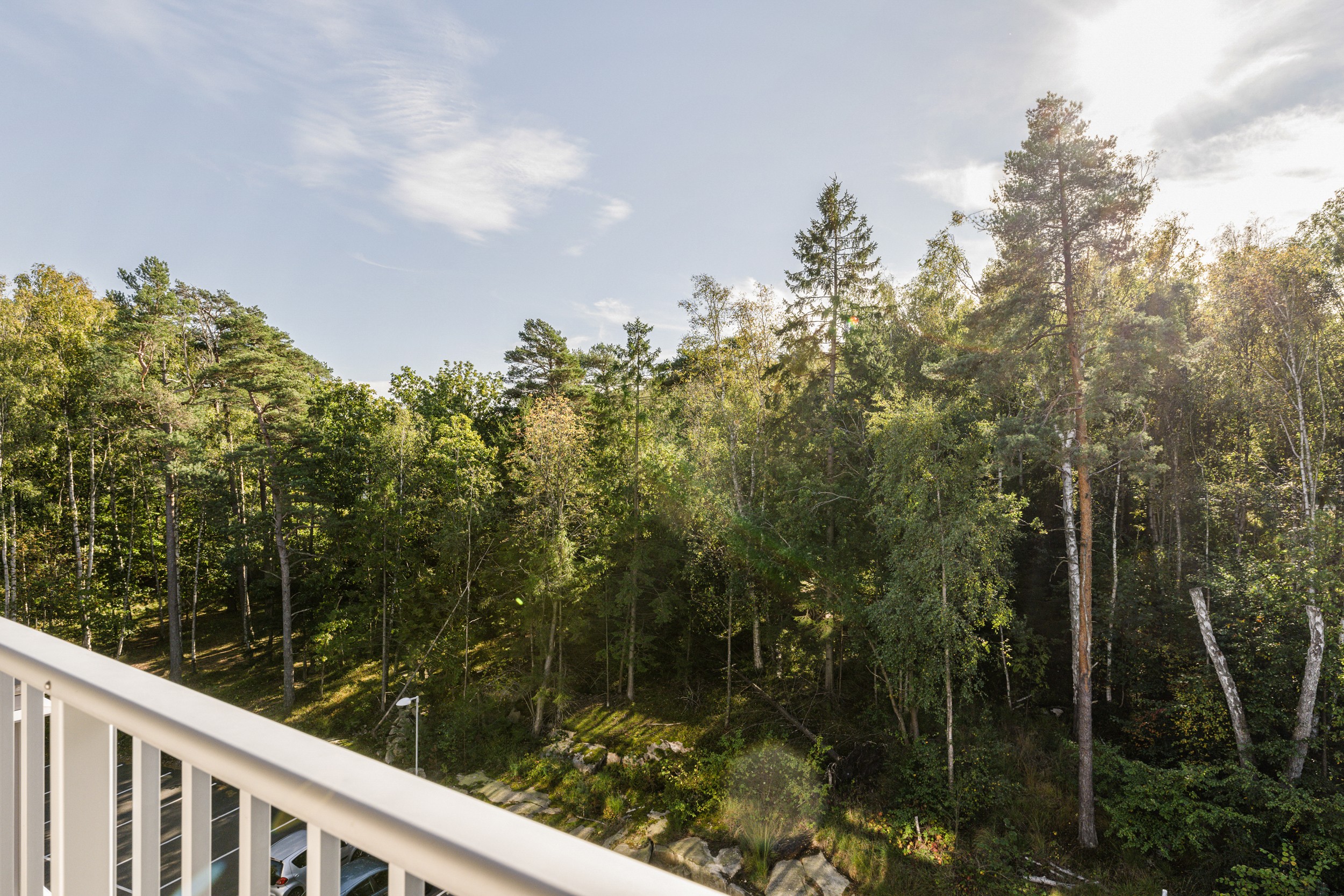Bild 2 från Bjurfors