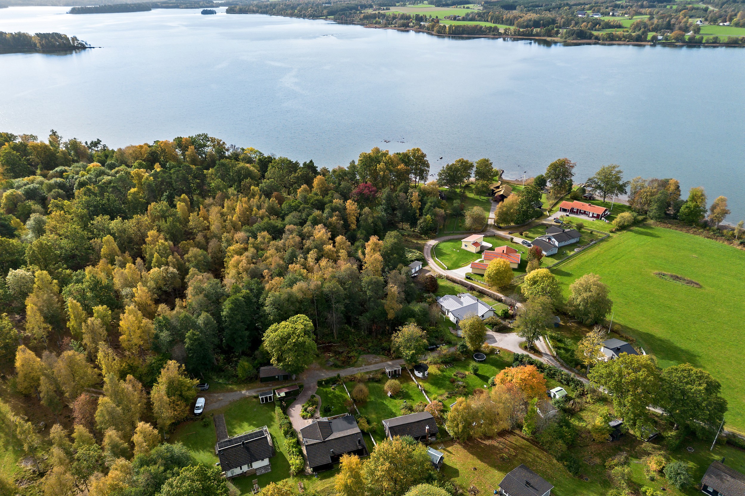 Bild 2 från Bjurfors