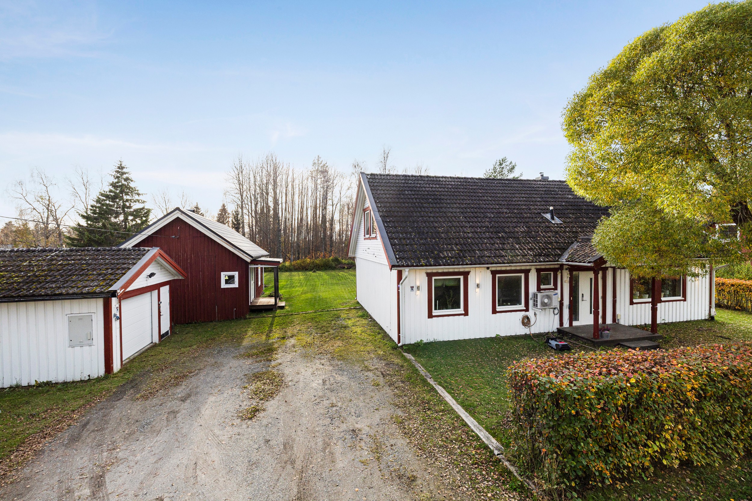 Bild 3 från Bjurfors