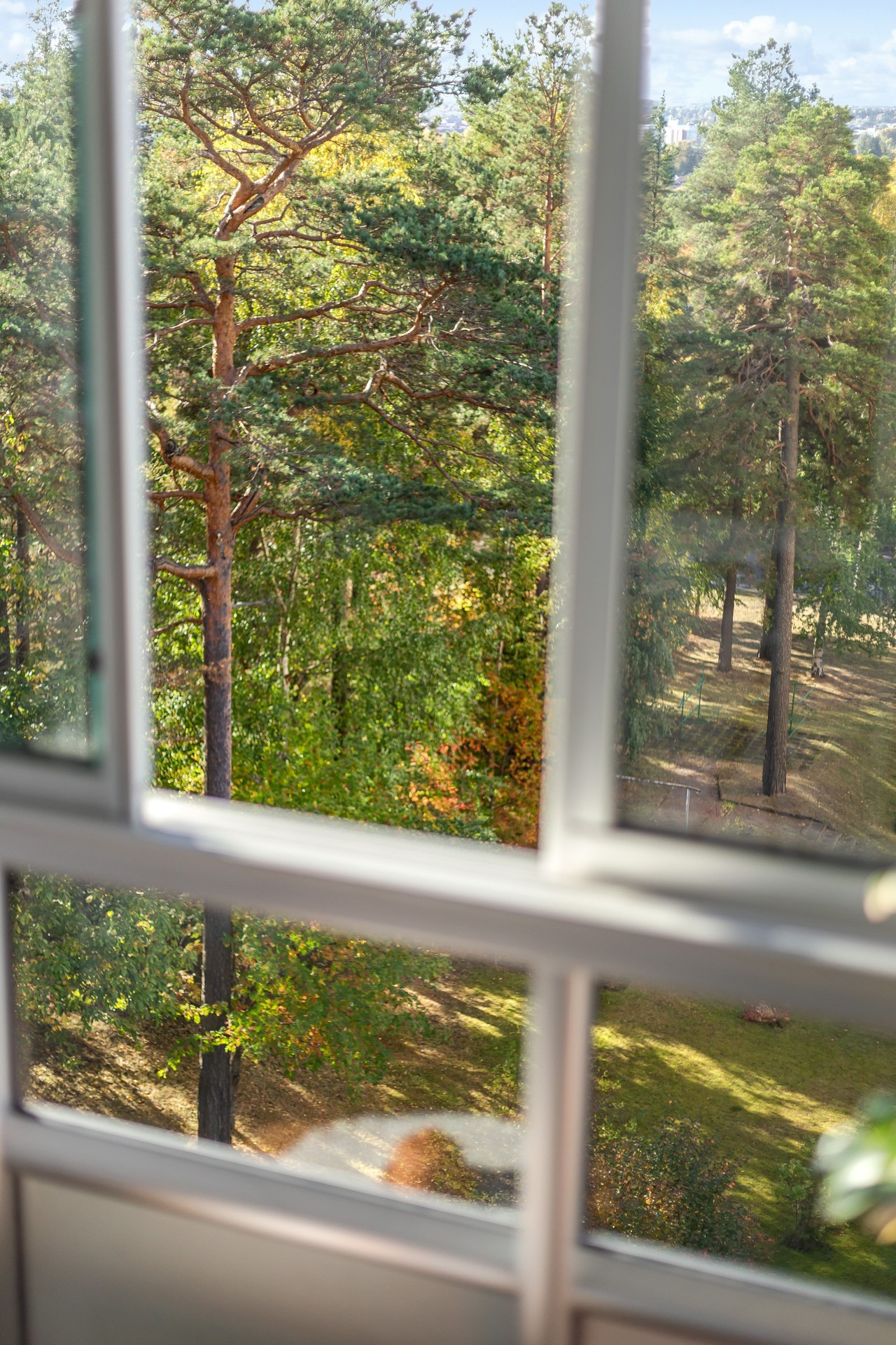 Bild 3 från Bjurfors