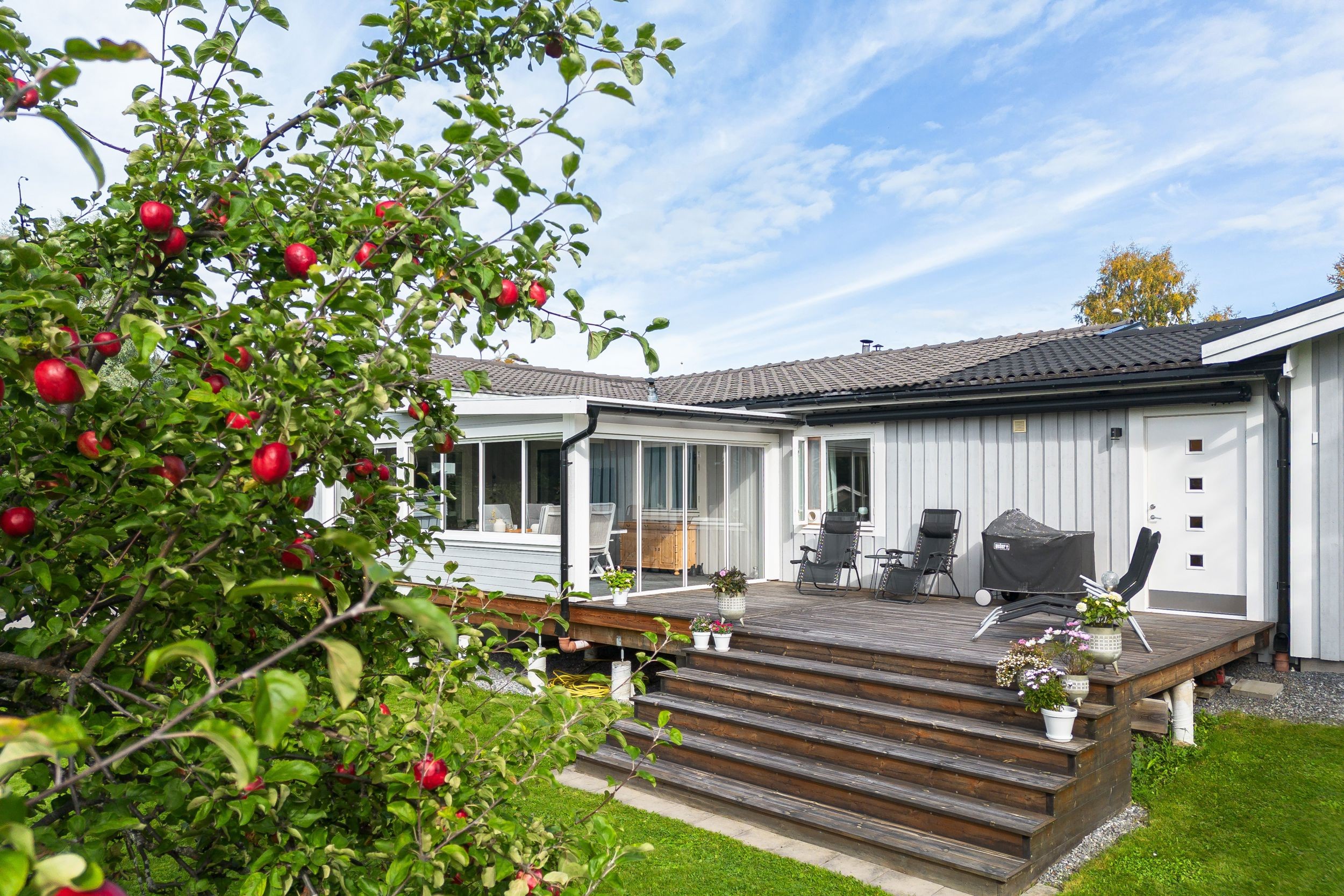 Bild 2 från Bjurfors