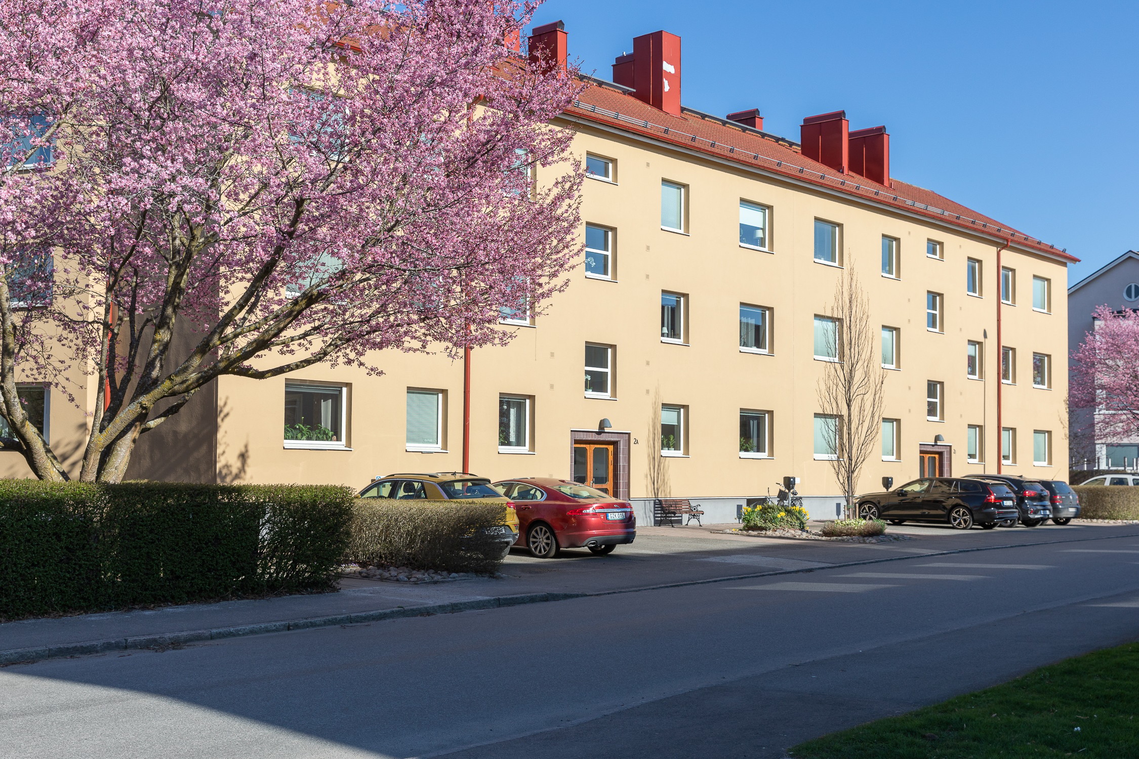 Bild 3 från Bjurfors