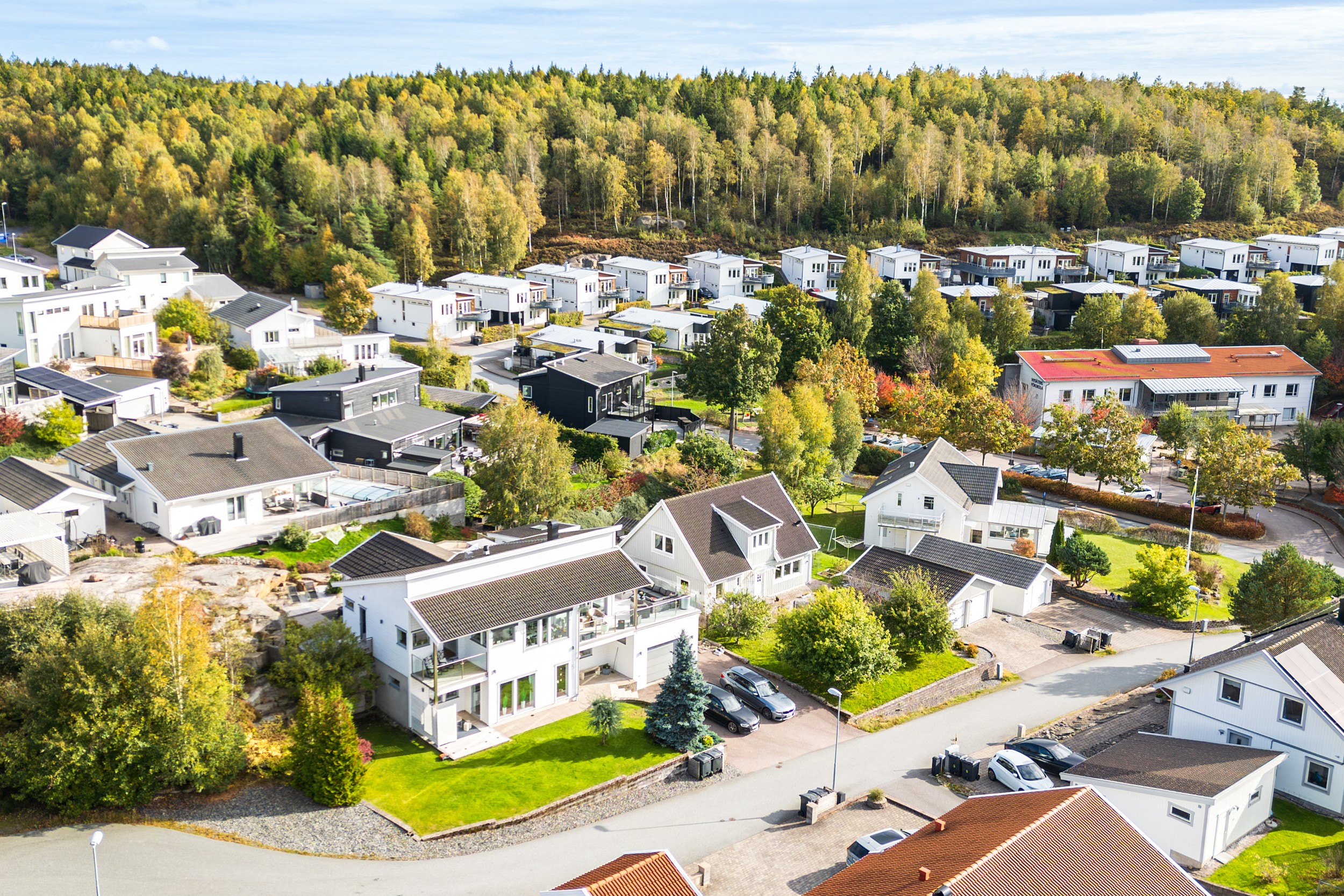 Bild 3 från Bjurfors