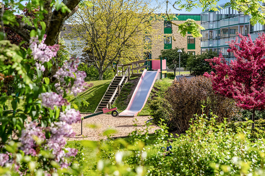 Grönskande gård i Trädlyckan, Varberg