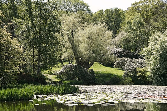 Mölndalsvägen 87F - 41204, Johanneberg - Almedal, Göteborg — Bjurfors