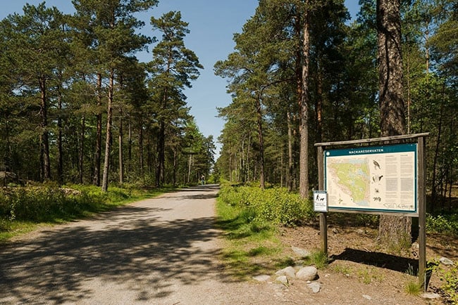 Nackareservatet finns inom gångavstånd när du köper lägenhet i Enskede